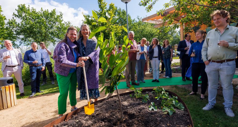 afbeelding opening leerlab boom planten